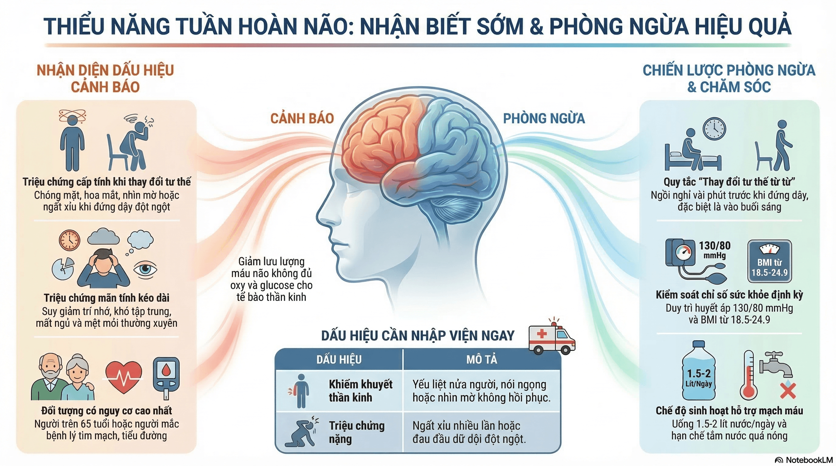 Thiểu Năng Tuần Hoàn Não: Tổng Quan Toàn Diện