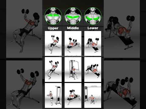 Bài Tập Ngực Tối Ưu Hóa Tăng Trưởng
