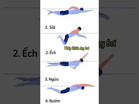4 kiểu bơi cho sức khỏe