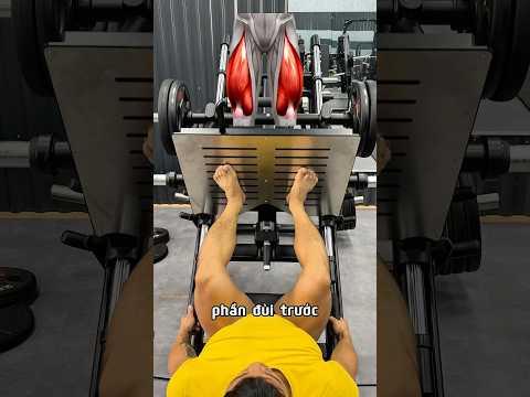 Các vị trí đặt chân khi Leg Press