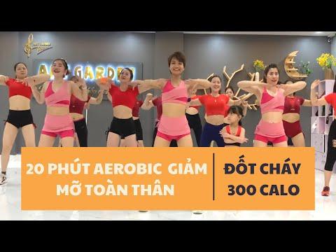 20 Phút Aerobic Giảm Mỡ Toàn Thân