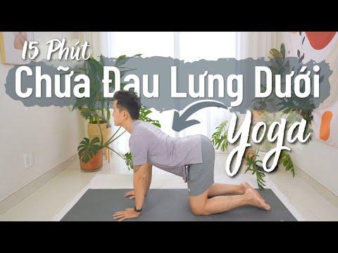 15 Phút Yoga Giảm Đau Lưng Dưới Hiệu Quả Tại Nhà