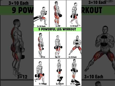 Bài tập chân với tạ cho cơ thể khỏe mạnh