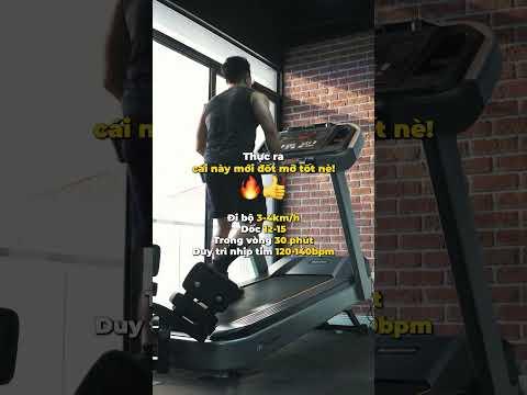 Tập Cardio Đốt Mỡ Nhanh
