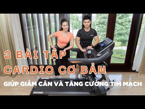 Bài tập Cardio cơ bản cho người mới bắt đầu