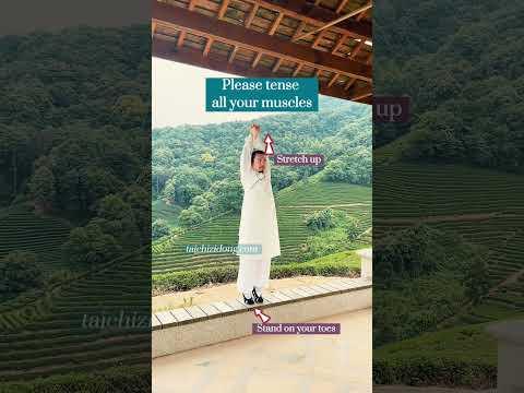 Tăng cường chuyển hóa và đốt mỡ