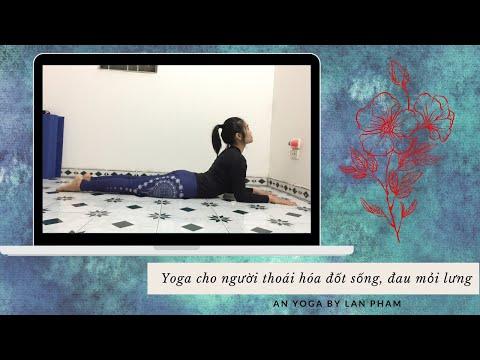 Yoga cho người thoái hóa, đau mỏi lưng