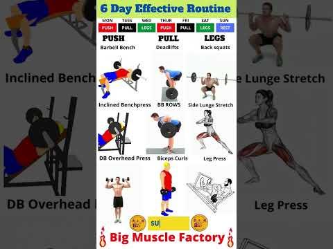Kế hoạch tập luyện hiệu quả 6 ngày