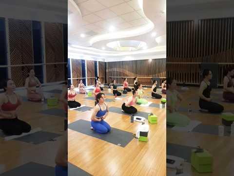 Bài tập yoga cho người tiểu đường