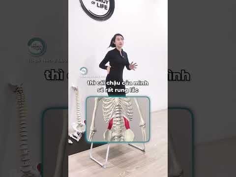 Cải thiện cơ vuông thắt lưng và giảm đau lưng