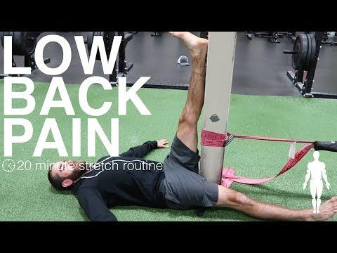 Bài tập giãn cơ cho đau lưng