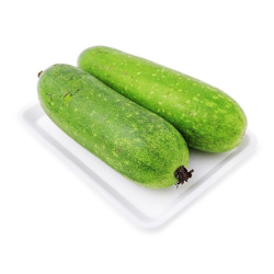 Giới thiệu Bí đao