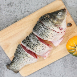 Giới thiệu Cá Chép