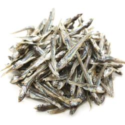 Giới thiệu Cá Cơm