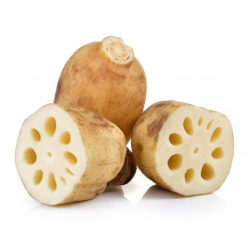 Giới thiệu Củ Sen