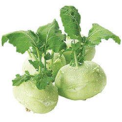 Giới thiệu Củ Su hào