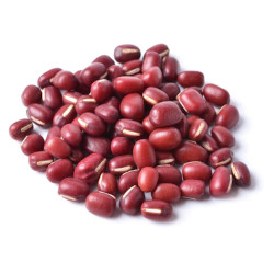 Giới thiệu Đậu đỏ