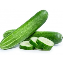 Giới thiệu Dưa chuột