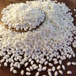 Giới thiệu Gạo nếp