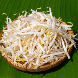 Giới thiệu Giá đỗ