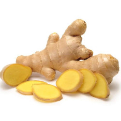 Giới thiệu Gừng