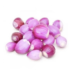 Giới thiệu Hành tím