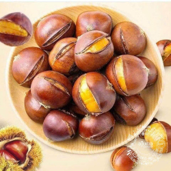 Giới thiệu Hạt Dẻ