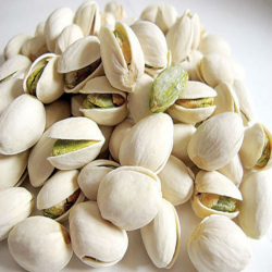 Giới thiệu Hạt Dẻ cười
