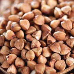 Giới thiệu Hạt Kiều mạch