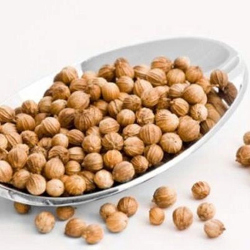 Giới thiệu Hạt Ngò