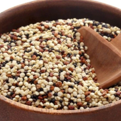 Giới thiệu Hạt Quinoa