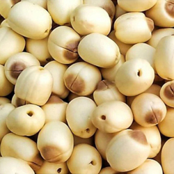 Giới thiệu Hạt Sen