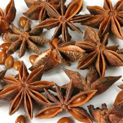 Giới thiệu Hoa Hồi