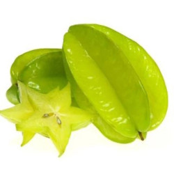 Giới thiệu Khế