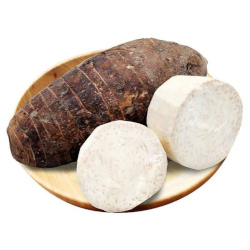 Giới thiệu Khoai Môn