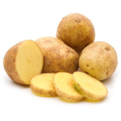 Giới thiệu Khoai tây