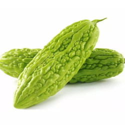 Giới thiệu Khổ qua