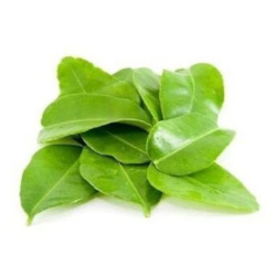 Giới thiệu Lá chanh