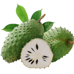 Giới thiệu Mãng cầu Xiêm