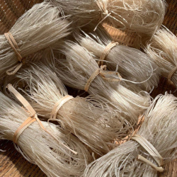 Giới thiệu Miến dong