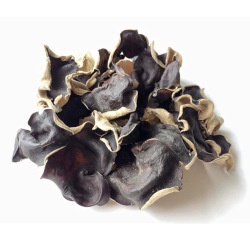 Giới thiệu Mộc nhĩ