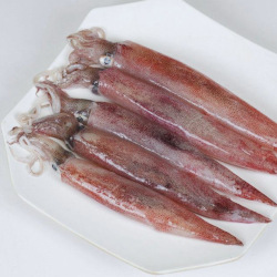 Giới thiệu Mực