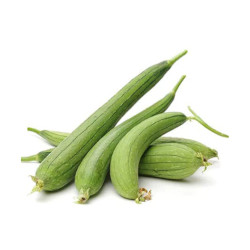 Giới thiệu Mướp