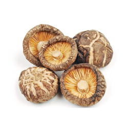 Giới thiệu Nấm hương