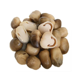 Giới thiệu Nấm rơm