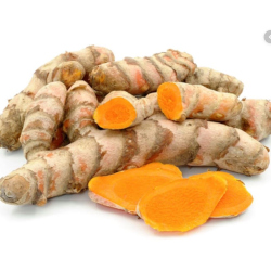Giới thiệu Nghệ tươi