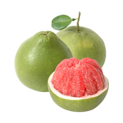Giới thiệu Quả Bưởi