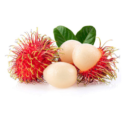 Giới thiệu Quả Chôm Chôm