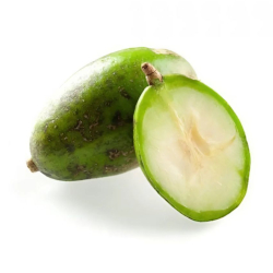 Giới thiệu Quả Cóc