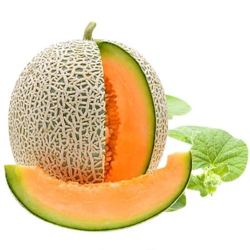 Giới thiệu Quả Dưa lưới